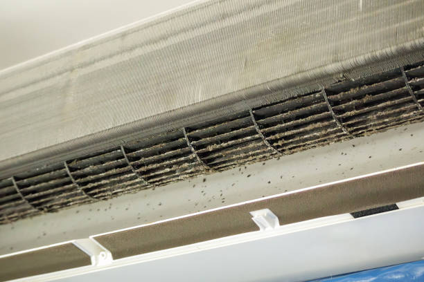 Best Dryer Vent Cleaning in , VT